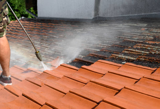 Professional Pressure Washing in Redlands, CO